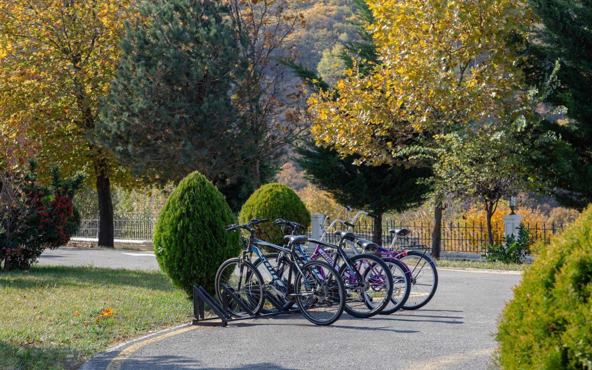 샤마키 팰리스 샤라딜 호텔 Seredil 외부 사진 Bicycles parked at the entrance of the park