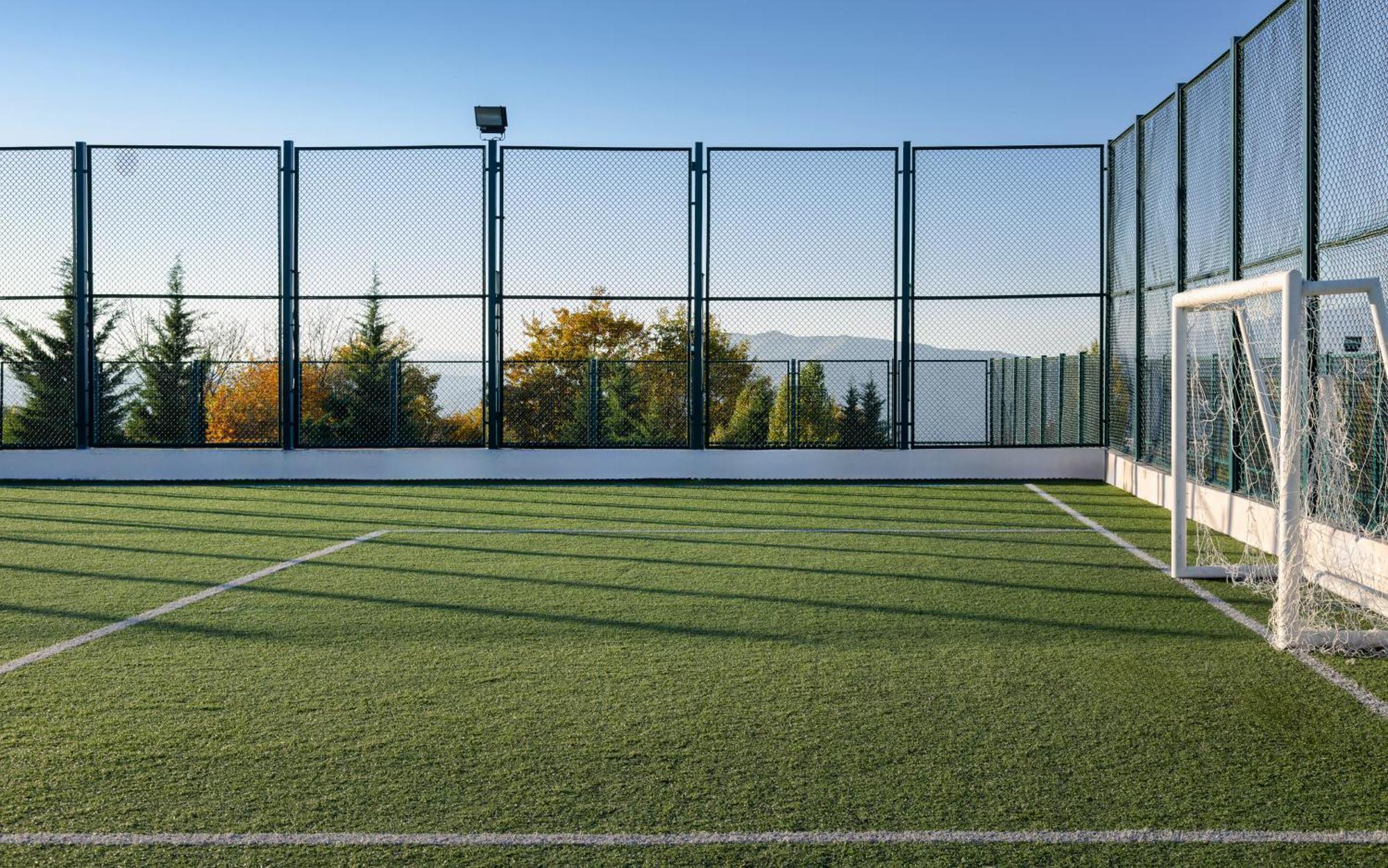 샤마키 팰리스 샤라딜 호텔 Seredil 외부 사진 The artificial grass pitch at the University of Novi Sad
